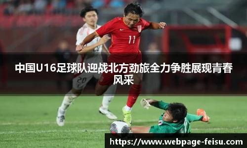 飞速高清直播